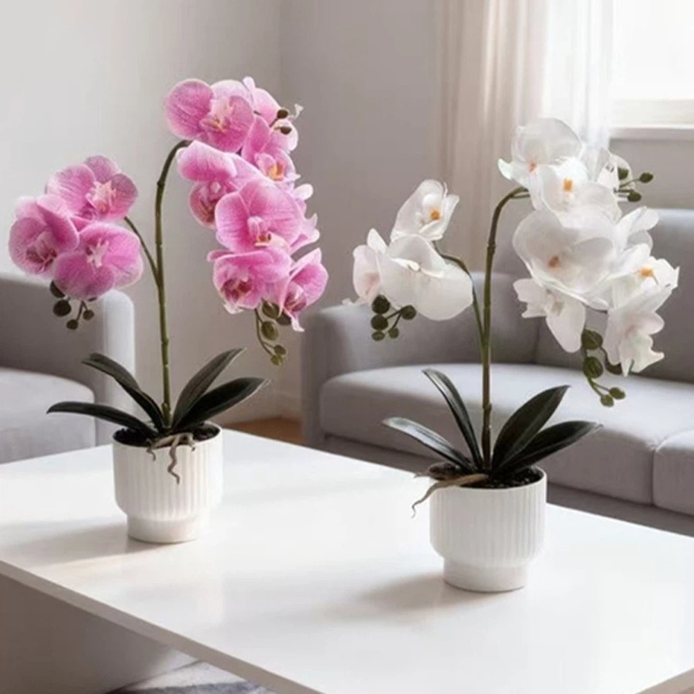 Orchid Phalaenopsis - Sztuczna orchidea motylkowa Multi-Bloom DIY w