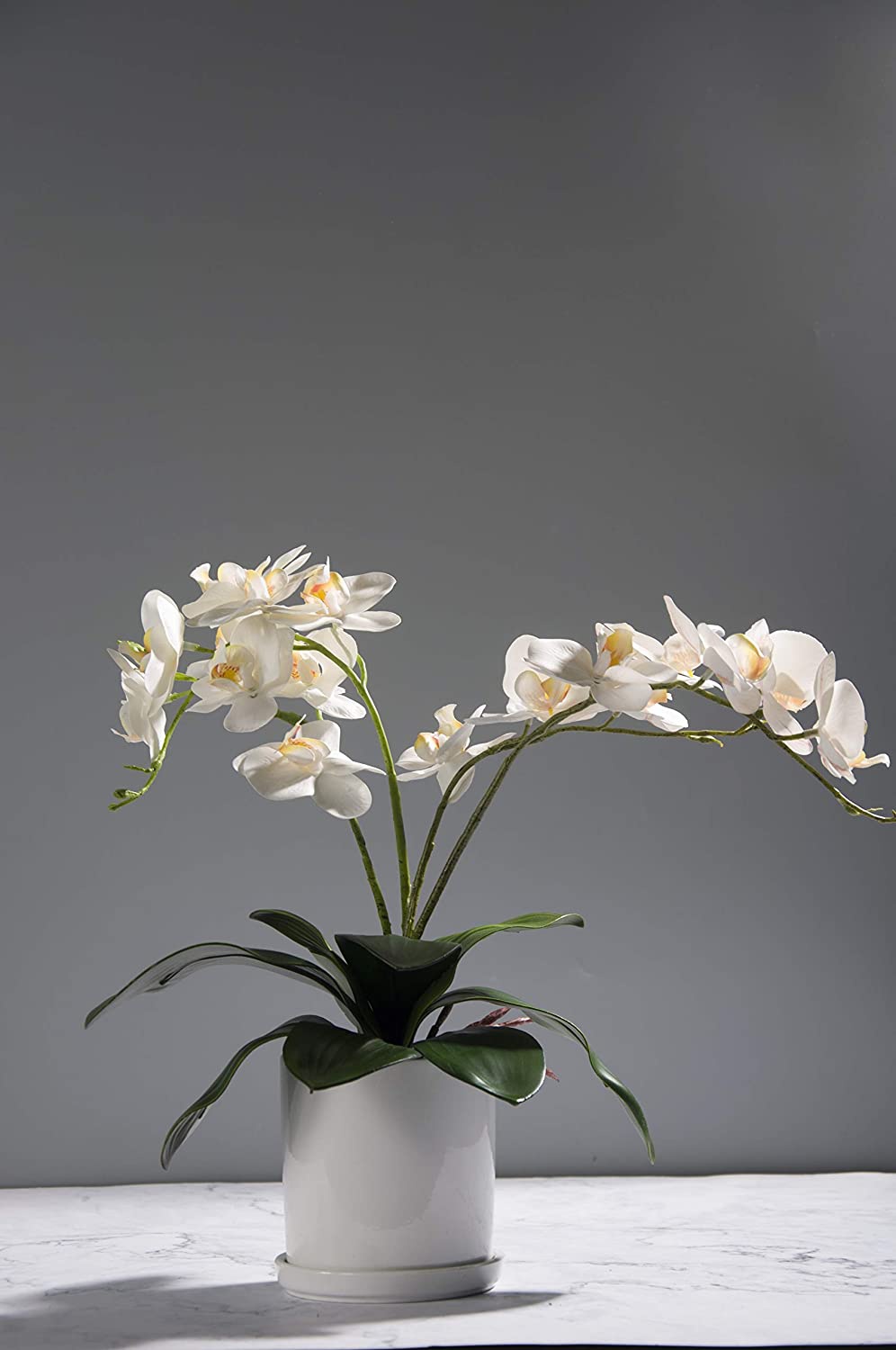 Sztuczne liście orchidei Phala – Orchid Phalaenopsis recenzja i cena