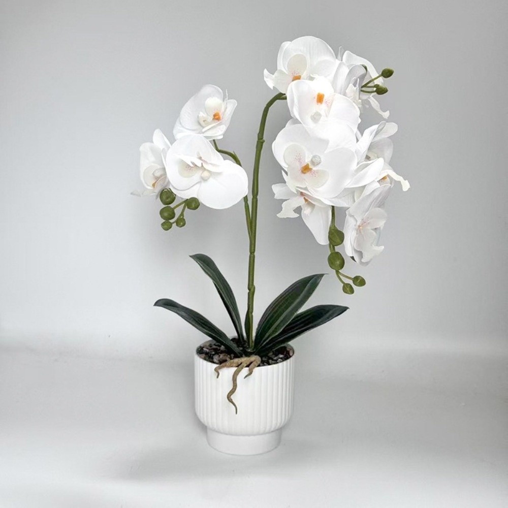 Sztuczna orchidea motylkowa Mu – Orchid Phalaenopsis recenzja i cena