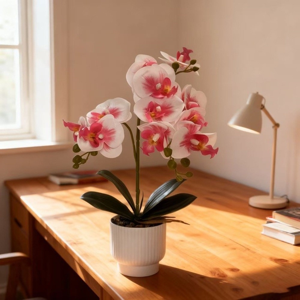 Sztuczna orchidea motylkowa Mu – Orchid Phalaenopsis recenzja i cena