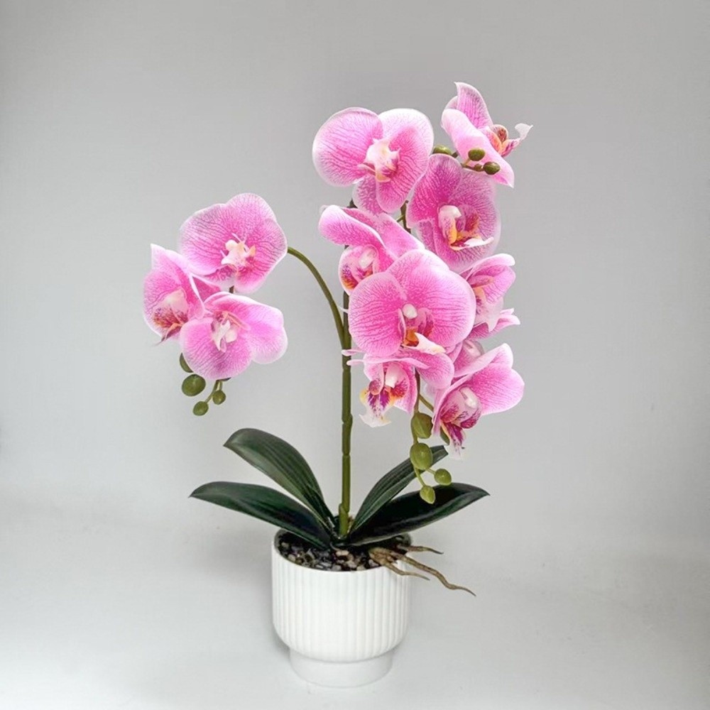 Sztuczna orchidea motylkowa Mu – Orchid Phalaenopsis recenzja i cena
