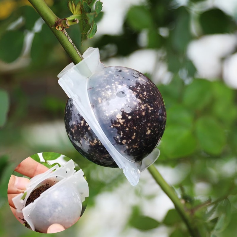5/30 szt. Kulki do ukorzeniań  – Plant Parents recenzja i cena
