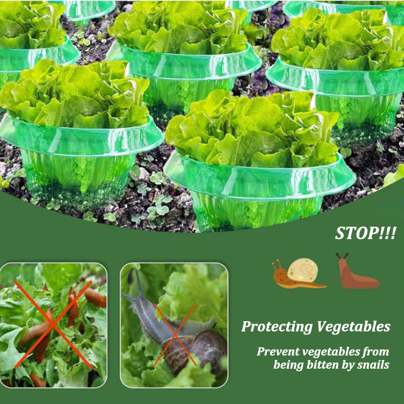 5-25 sztuk rośliny pierścienie – Plant Parents recenzja i cena