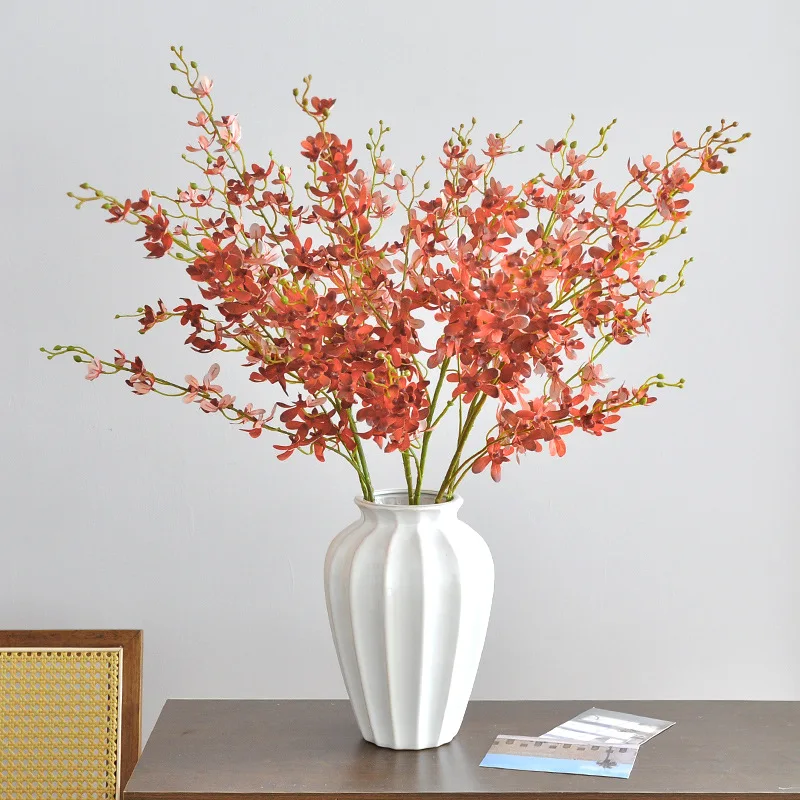 105CM 5-widelec Orchidea Banda – Orchid Phalaenopsis recenzja i cena
