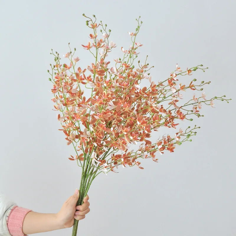 105CM 5-widelec Orchidea Banda – Orchid Phalaenopsis recenzja i cena