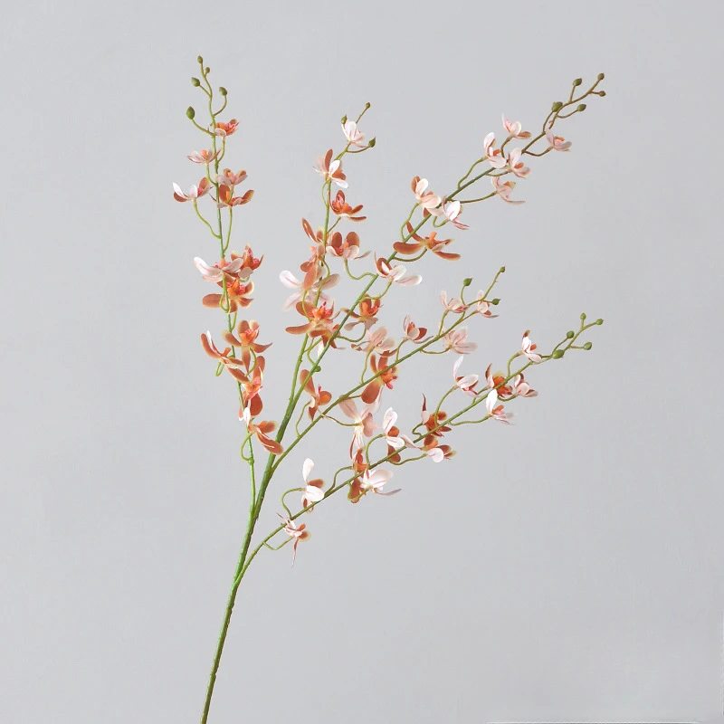 105CM 5-widelec Orchidea Banda – Orchid Phalaenopsis recenzja i cena