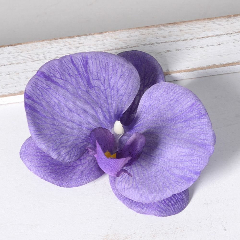 DIY Główki kwiatów Phalaenopsi – Orchid Phalaenopsis recenzja i cena
