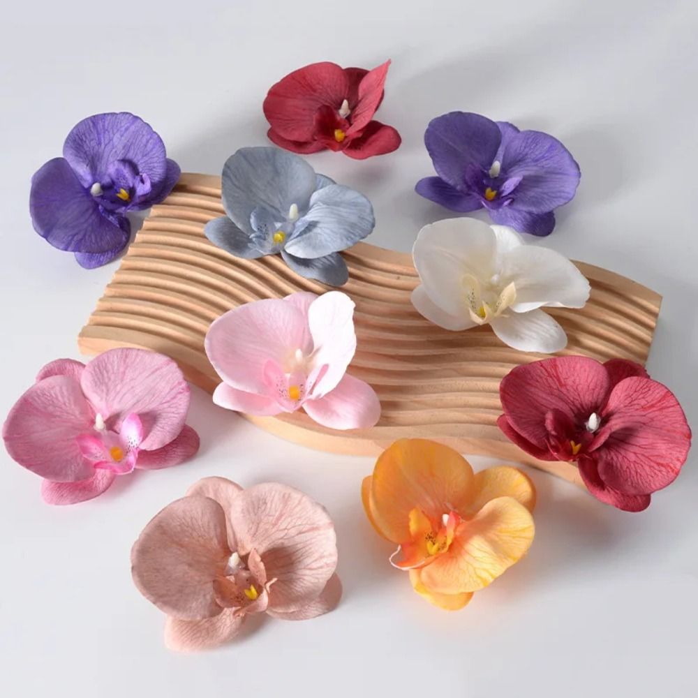 DIY Główki kwiatów Phalaenopsi – Orchid Phalaenopsis recenzja i cena
