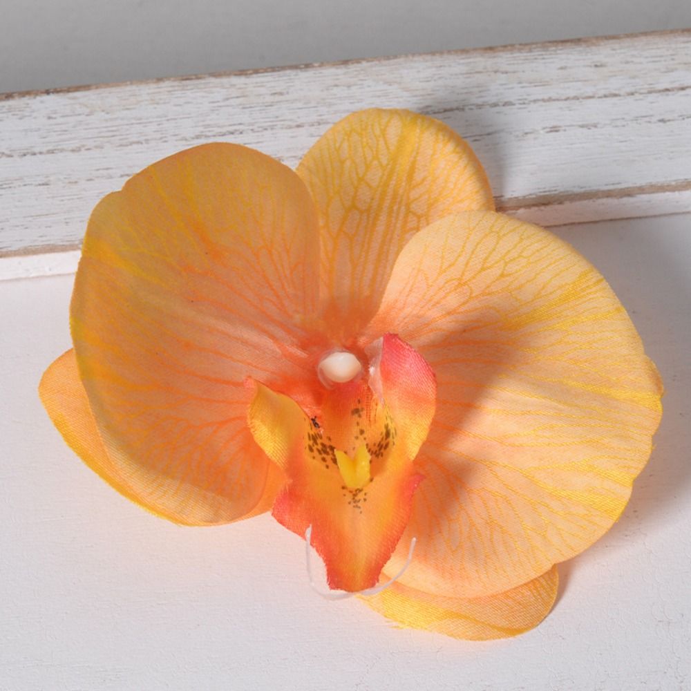 DIY Główki kwiatów Phalaenopsi – Orchid Phalaenopsis recenzja i cena