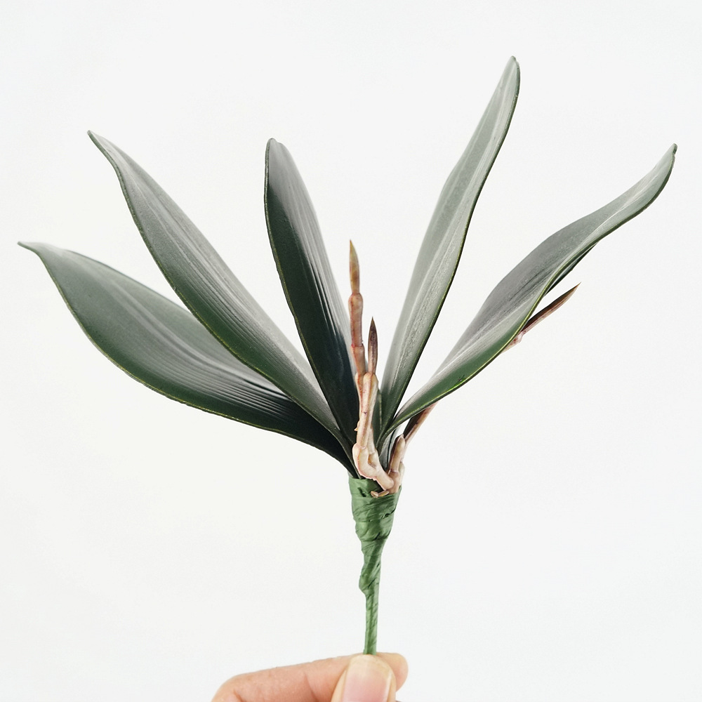 3szt Eva Symulacja Phalaenopsi – Orchid Phalaenopsis recenzja i cena