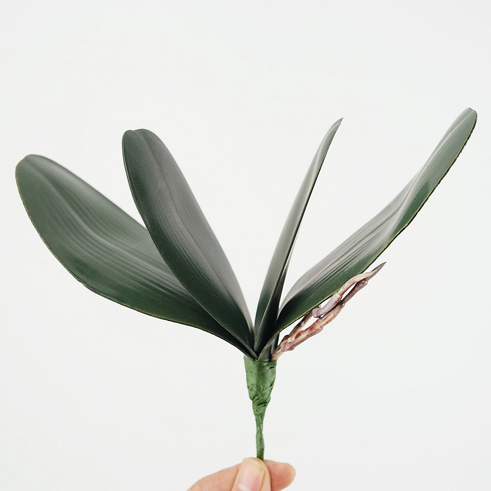 3szt Eva Symulacja Phalaenopsi – Orchid Phalaenopsis recenzja i cena