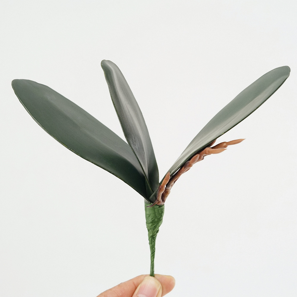 3szt Eva Symulacja Phalaenopsi – Orchid Phalaenopsis recenzja i cena