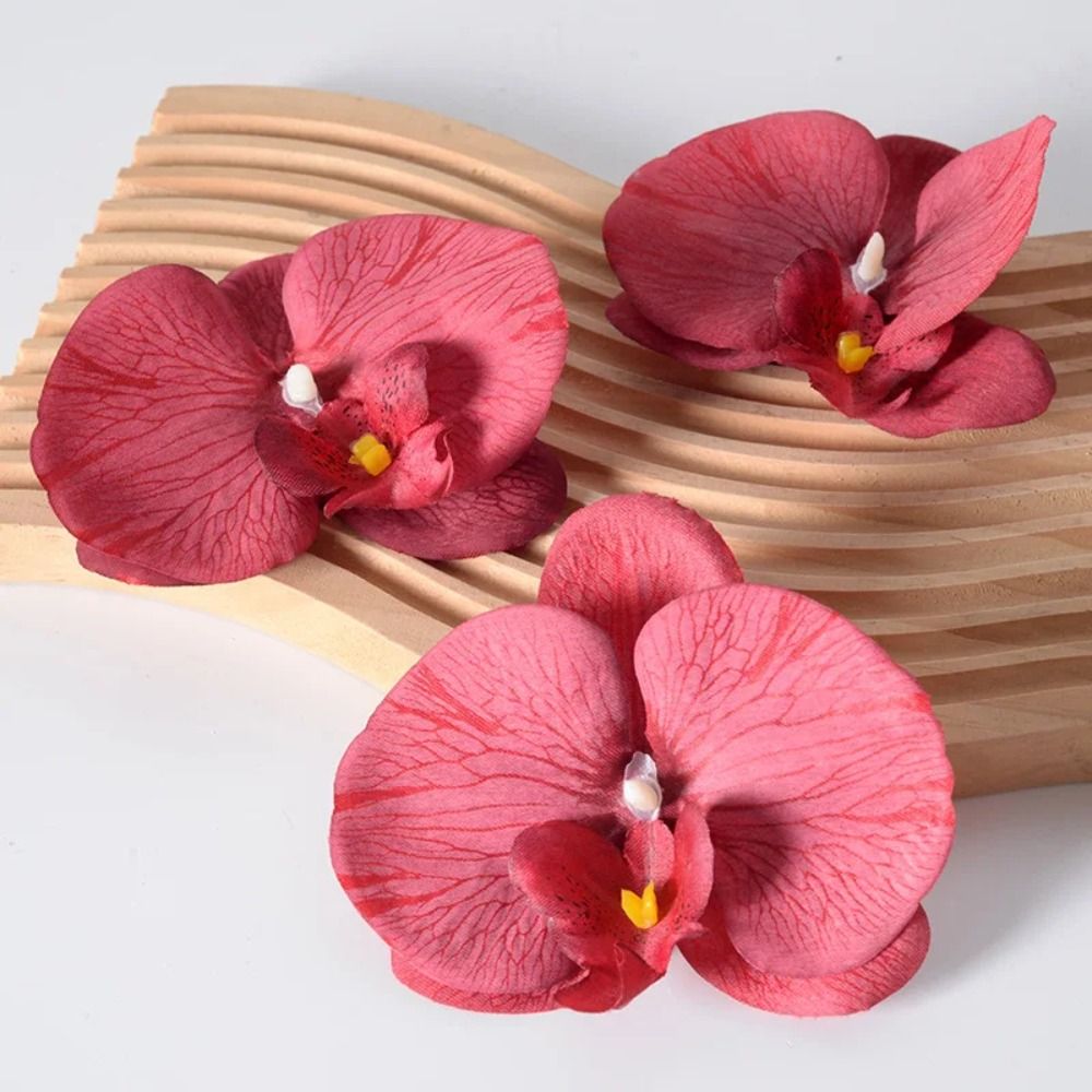 Główka kwiatowa Phalaenopsis D – Orchid Phalaenopsis recenzja i cena