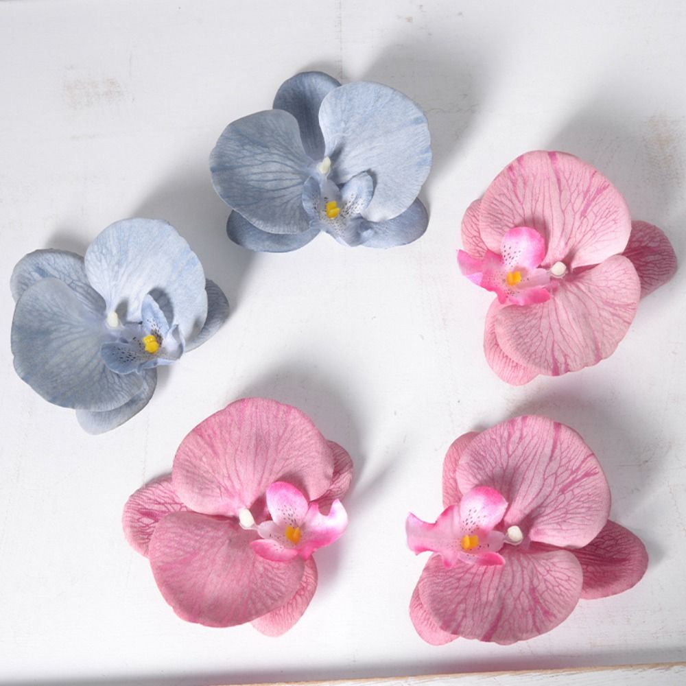 Główka kwiatowa Phalaenopsis D – Orchid Phalaenopsis recenzja i cena