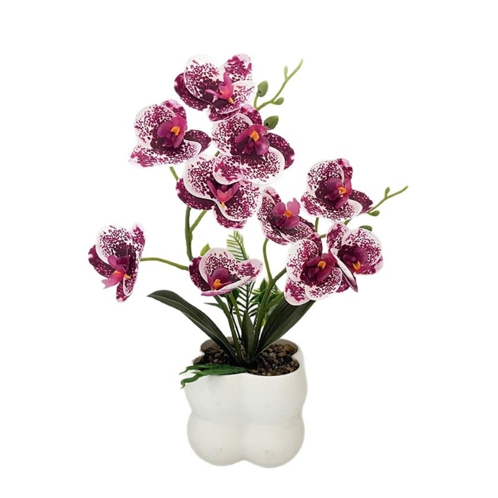 Sztuczna orchidea motylkowa Mu – Orchid Phalaenopsis recenzja i cena