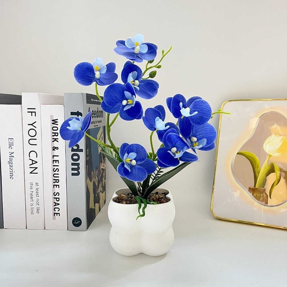 Sztuczna orchidea motylkowa Mu – Orchid Phalaenopsis recenzja i cena