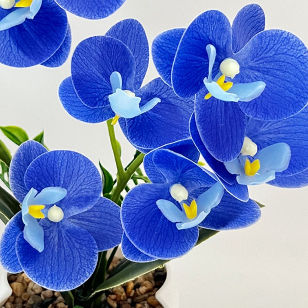 Sztuczna orchidea motylkowa Mu – Orchid Phalaenopsis recenzja i cena