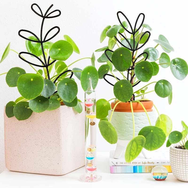 3 szt. Stelażów podtrzymującyc – Plant Parents recenzja i cena