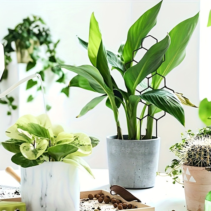 3 szt. Stelażów podtrzymującyc – Plant Parents recenzja i cena