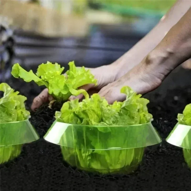 Ochrona roślin przed ślimakami – Plant Parents recenzja i cena