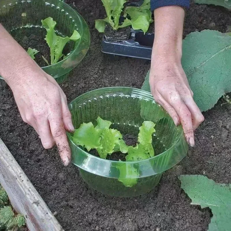 Ochrona roślin przed ślimakami – Plant Parents recenzja i cena